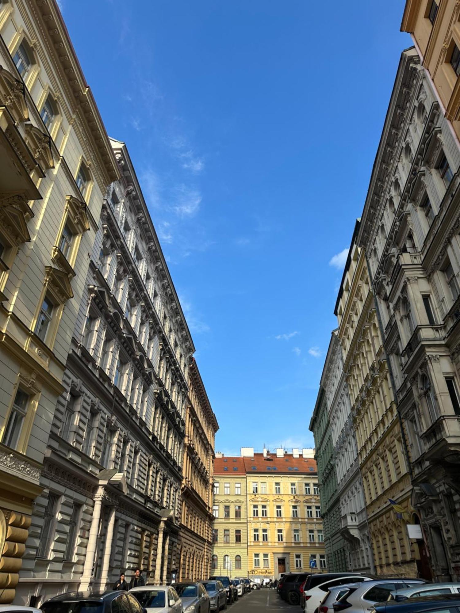 Tyrsova Centre Apartment Prag